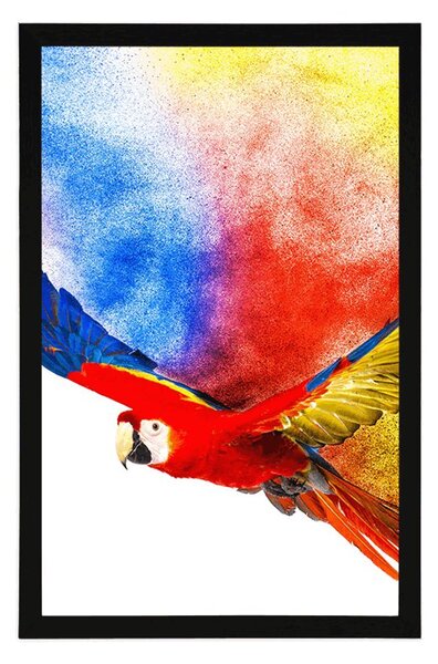 Poster zborul papagalului