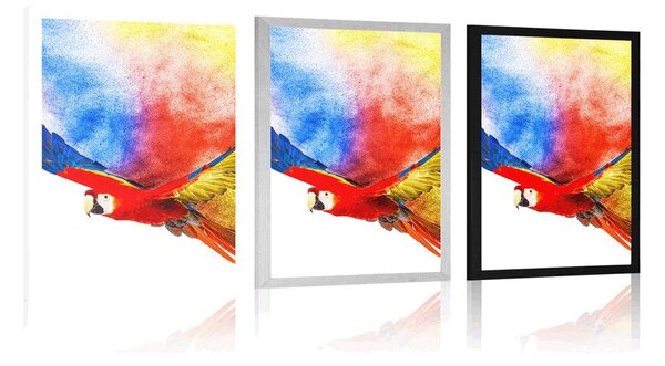 Poster zborul papagalului