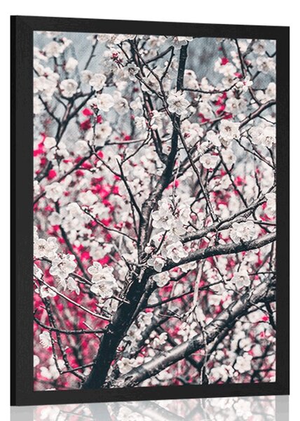 Poster flori de piersică