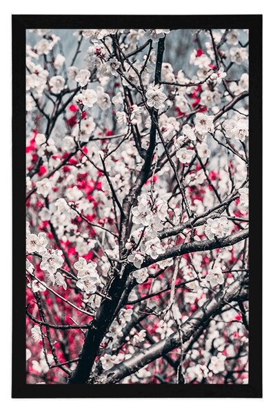 Poster flori de piersică