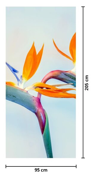 Fototapet pentru ușă - Fori strelizia (95x205cm)