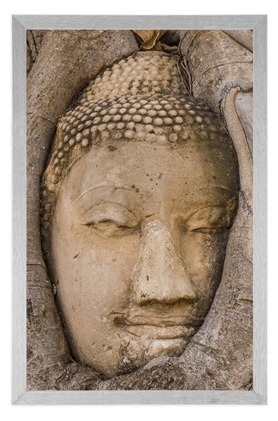 Poster smochinul sacru al lui Buddha