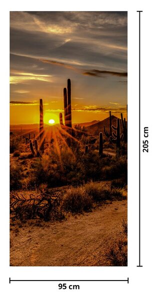 Fototapet pentru ușă - Sfârșitul zilei în deșertul Arizona (95x205cm)