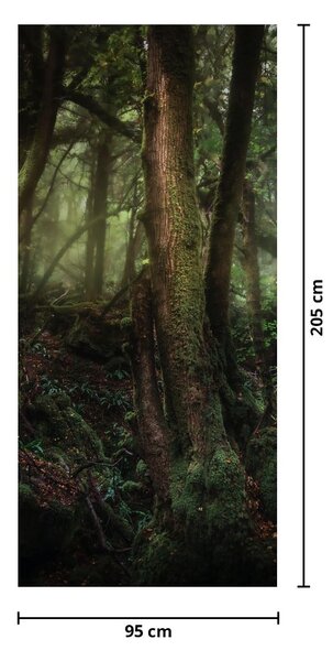 Fototapet pentru ușă - Pădurea misterioasă (95x205cm)