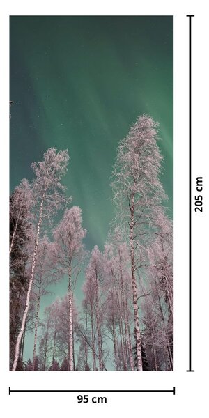 Fototapet pentru ușă - Aurora boreală peste copaci înghețați (95x205cm)