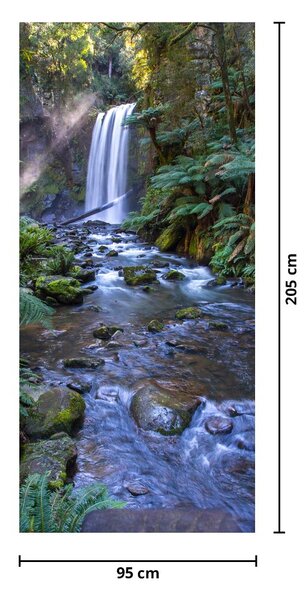 Fototapet pentru ușă - Pădurile tropicale ploioase din Australia (95x205cm)