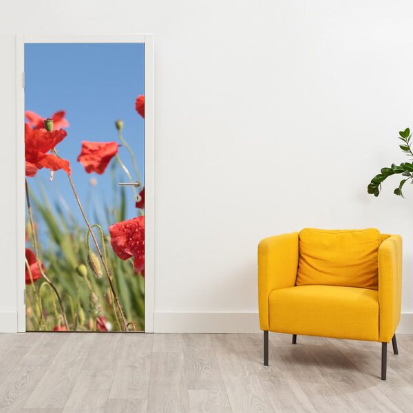 Fototapet pentru ușă - Maci (95x205cm)