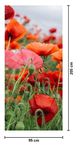 Fototapet pentru ușă - Câmpul cu maci (95x205cm)