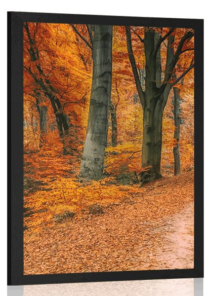 Poster pădure în perioada de toamnă