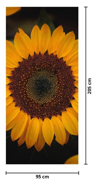 Fototapet pentru ușă - Floarea soarelui și frunze (95x205cm)