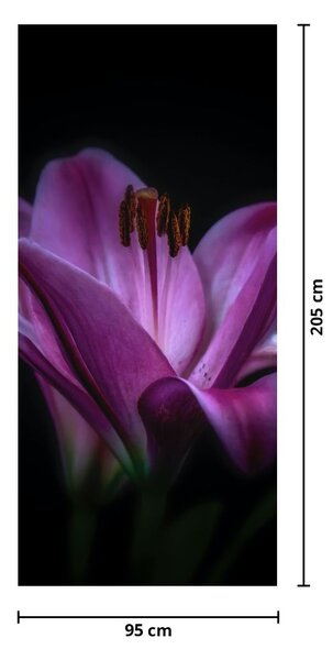 Fototapet pentru ușă - Crini (95x205cm)