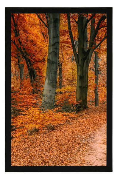 Poster pădure în perioada de toamnă