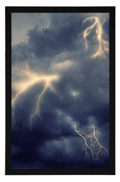 Poster fulgere