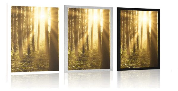 Poster răsărit de soare în pădure
