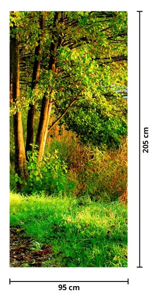 Fototapet pentru ușă - Cărarea de-a lungul apei (95x205cm)