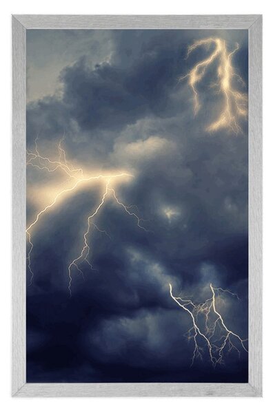 Poster fulgere
