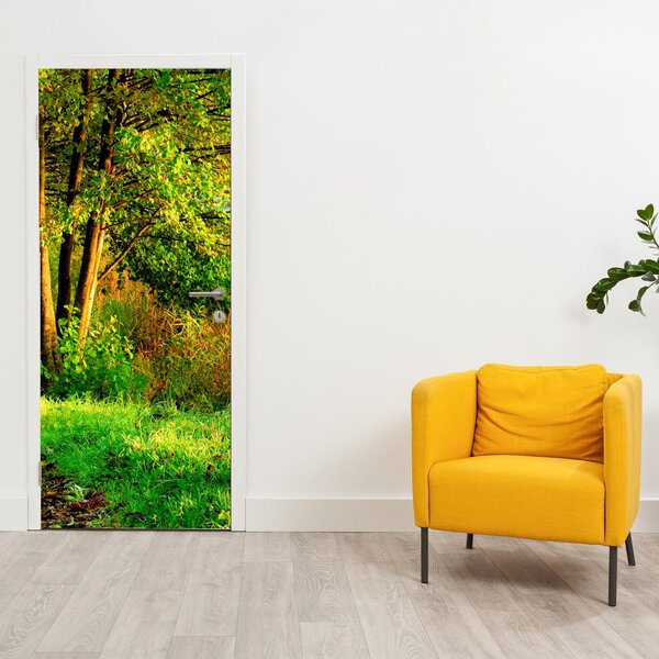 Fototapet pentru ușă - Cărarea de-a lungul apei (95x205cm)