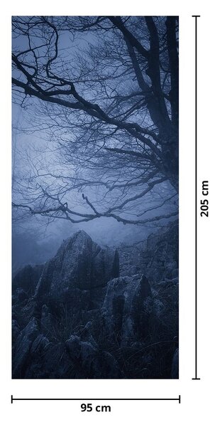 Fototapet pentru ușă - Pădurea întunecată (95x205cm)