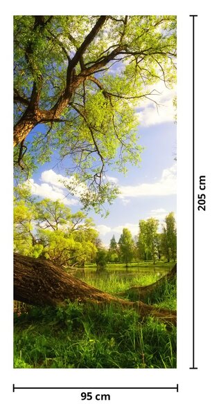Fototapet pentru ușă - Pajiștea primăvara (95x205cm)