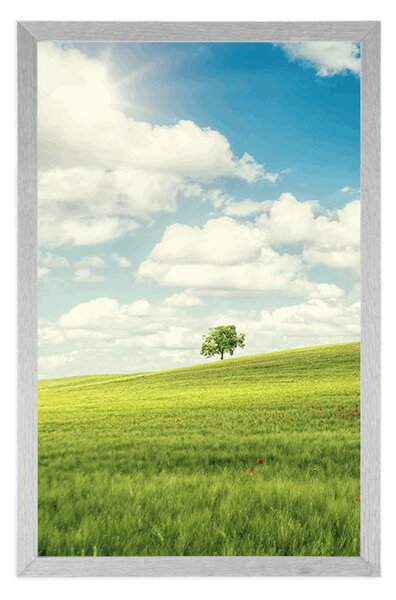 Poster zi minunată însorită pe luncă