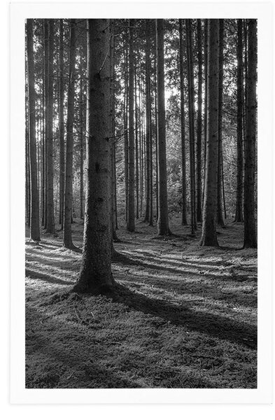 Poster dimineață în pădure în design alb-negru