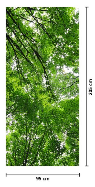 Fototapet pentru ușă - Coroana copacilor (95x205cm)