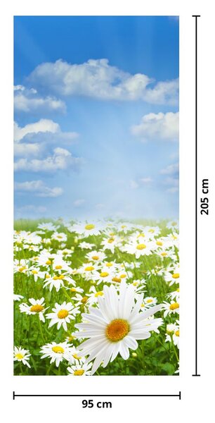 Fototapet pentru ușă - Lunca înflorită cu margarete (95x205cm)