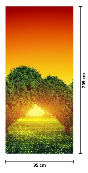 Fototapet pentru ușă - Inimă în coroana copacului (95x205cm)