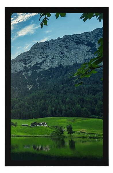 Poster viață în munți