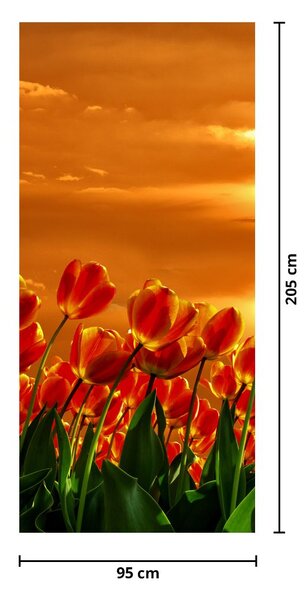 Fototapet pentru ușă - Câmp înflorit cu lalele (95x205cm)