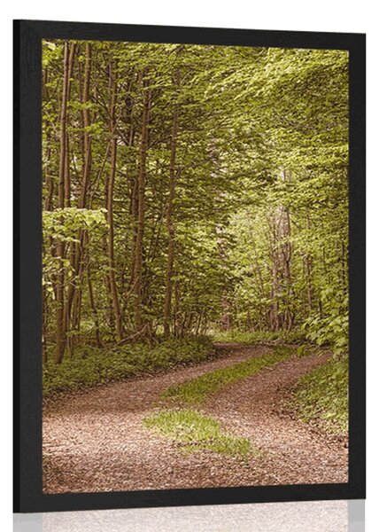 Poster pădure verde