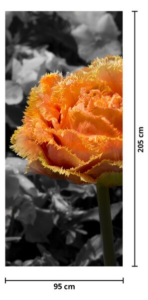 Fototapet pentru ușă - Floare (95x205cm)
