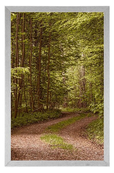 Poster pădure verde