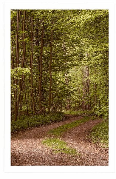 Poster pădure verde