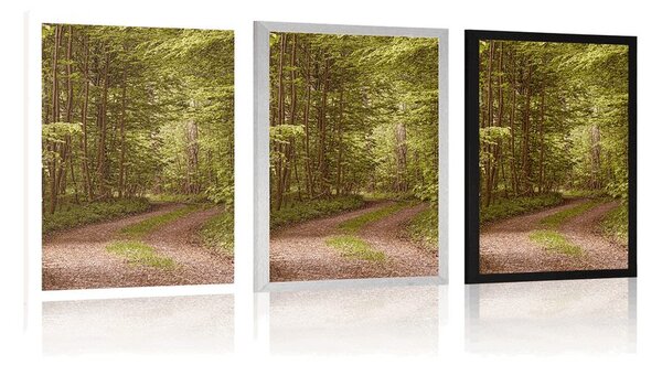 Poster pădure verde