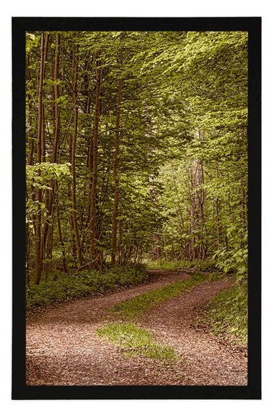 Poster pădure verde