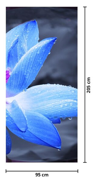Fototapet pentru ușă - floare în prim plan (95x205cm)