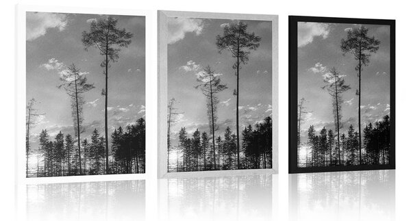Poster seara devreme în pădure în design alb-negru