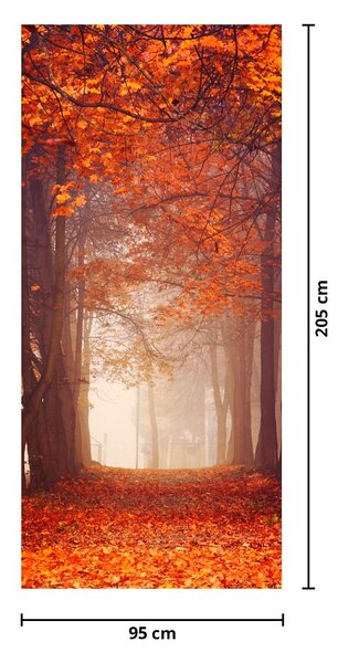 Fototapet pentru ușă - Pădurea toamna (95x205cm)