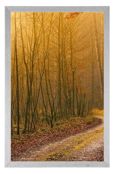 Poster potecă spre pădure