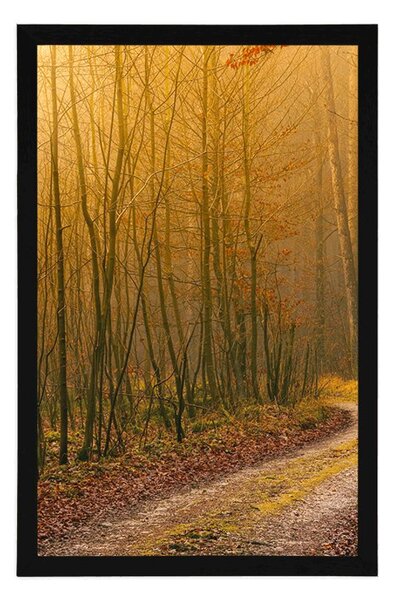 Poster potecă spre pădure
