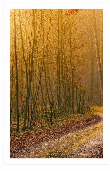 Poster potecă spre pădure