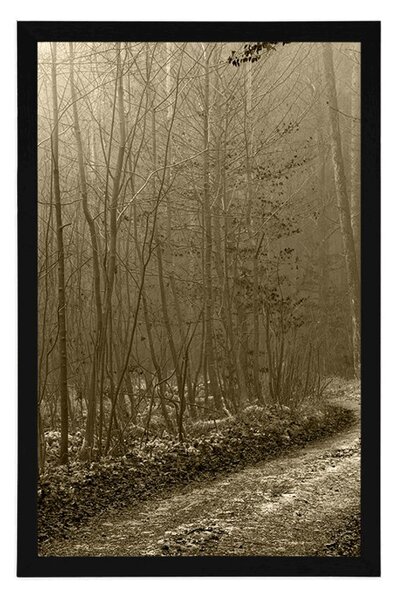 Poster potecă spre pădure în sepia