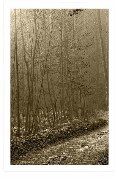 Poster potecă spre pădure în sepia