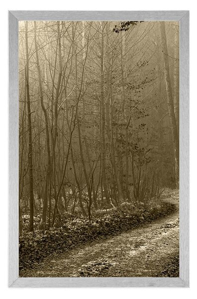 Poster potecă spre pădure în sepia