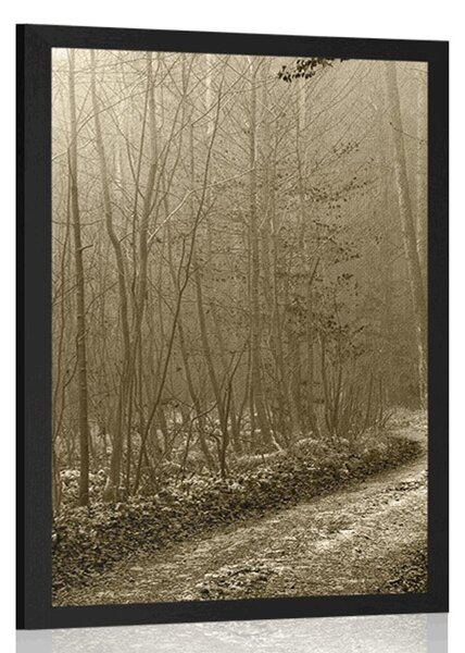 Poster potecă spre pădure în sepia
