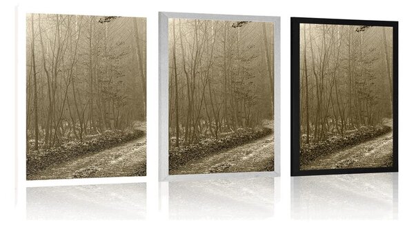 Poster potecă spre pădure în sepia