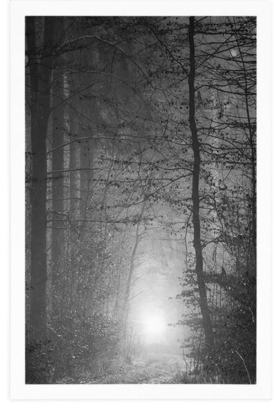 Poster lumină în pădure în design alb-negru