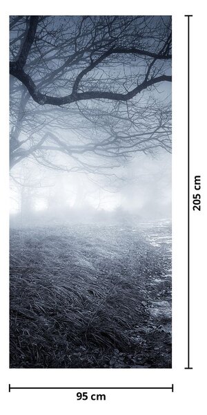 Fototapet pentru ușă - Drum în ceață (95x205cm)