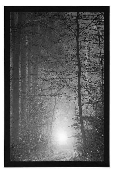 Poster lumină în pădure în design alb-negru